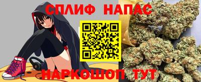 прущие крисы Славгород