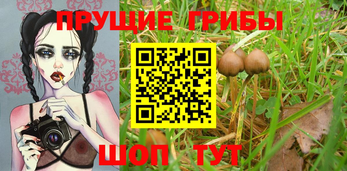 Псилоцибиновые грибы Magic Shrooms  где найти   Псилоцибиновые грибы MAGIC MUSHROOMS  Фрязино  Вход с VPN 